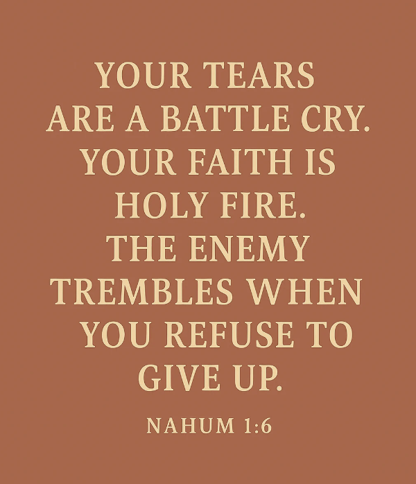 When Holy Fire Burns: Strength for Adoptive and Foster Moms